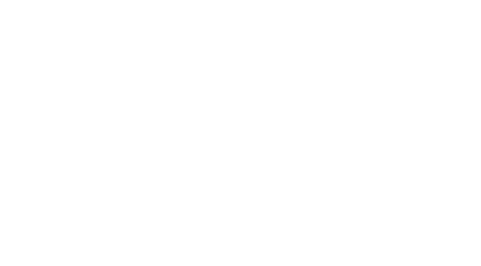 cigogne-blanc